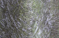 Burntheath fibreglass roof work